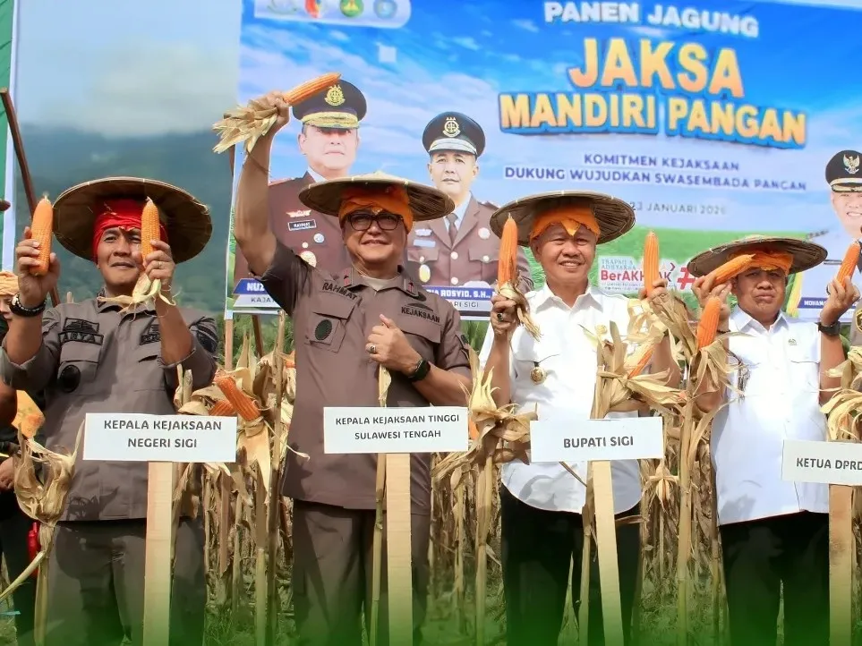 Dukung Ketahanan Pangan, Kajati Sulten Panen Jagung Program Jaksa Mandiri Pangan di Kabupaten Sigi