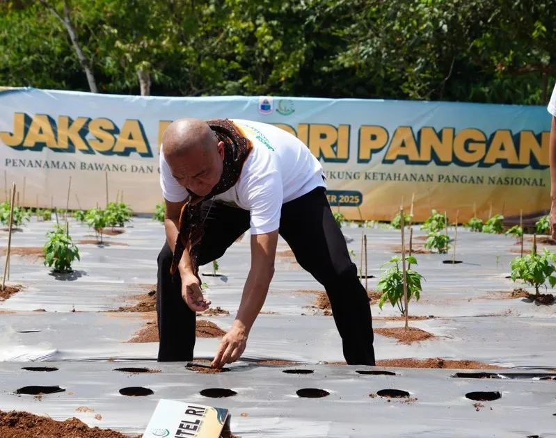 JAM-Intel Kejaksaan RI Akselerasi Program Swasembada Pangan Nasional Melalui Jaksa Mandiri Pangan di Lebak Banten