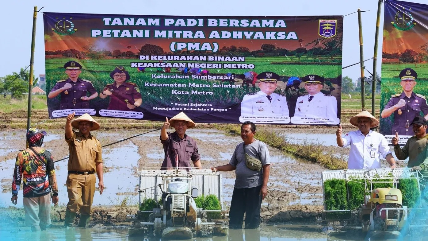 Dukung Swasembada Pangan, Kajati Lampung Tanam Padi di Areal Seluas 130 Ha Bersama Petani Mitra Adhyaksa Kejari Metro