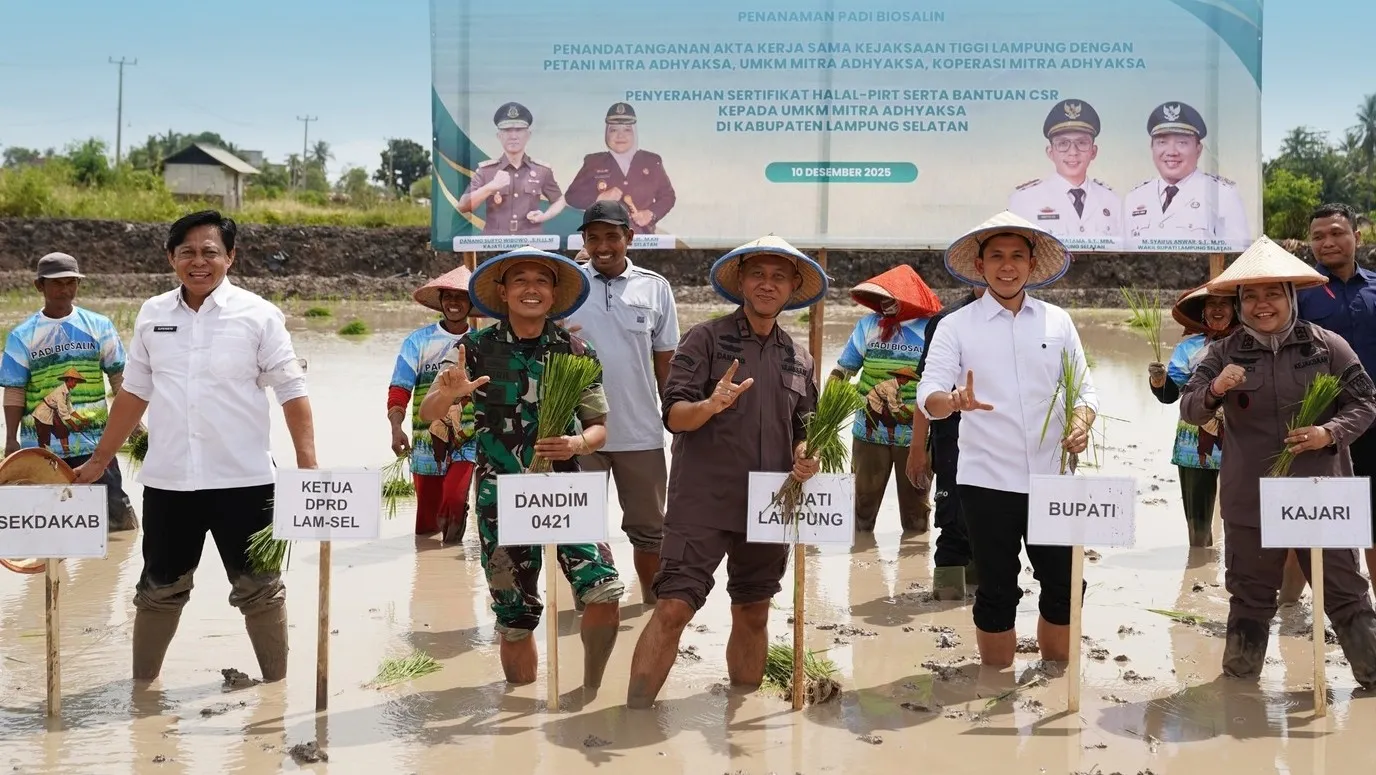 Dukung Asta Cita Ketahanan Pangan, Kejati Lampung Resmikan Koperasi Konsumen Adhyaksa dan Tanam Padi Biosalin
