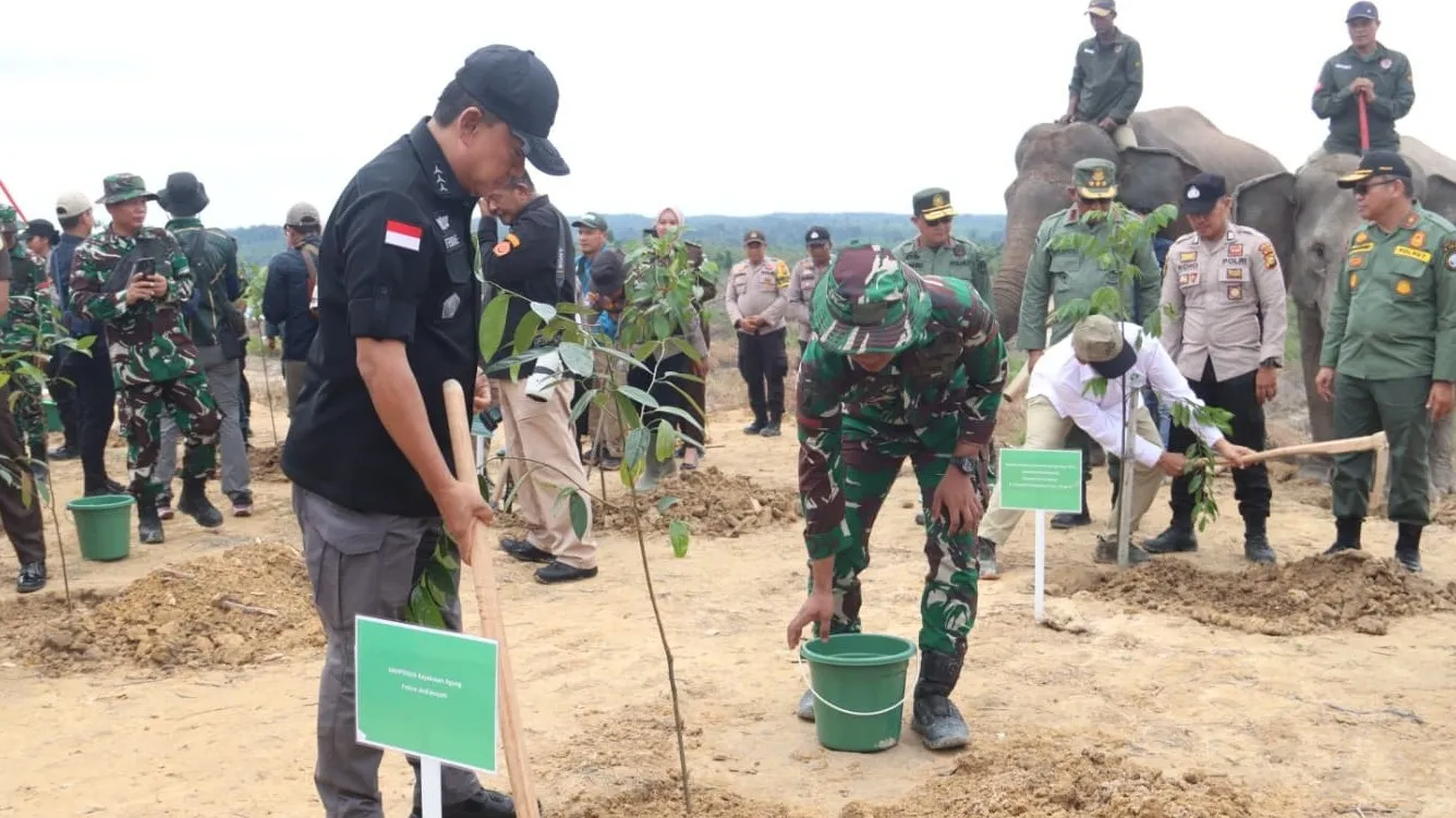 Satgas PKH kuasai kembali lahan 81.793 Ha di Kawasan Hutan Konservasi TN Tesso Nilo
