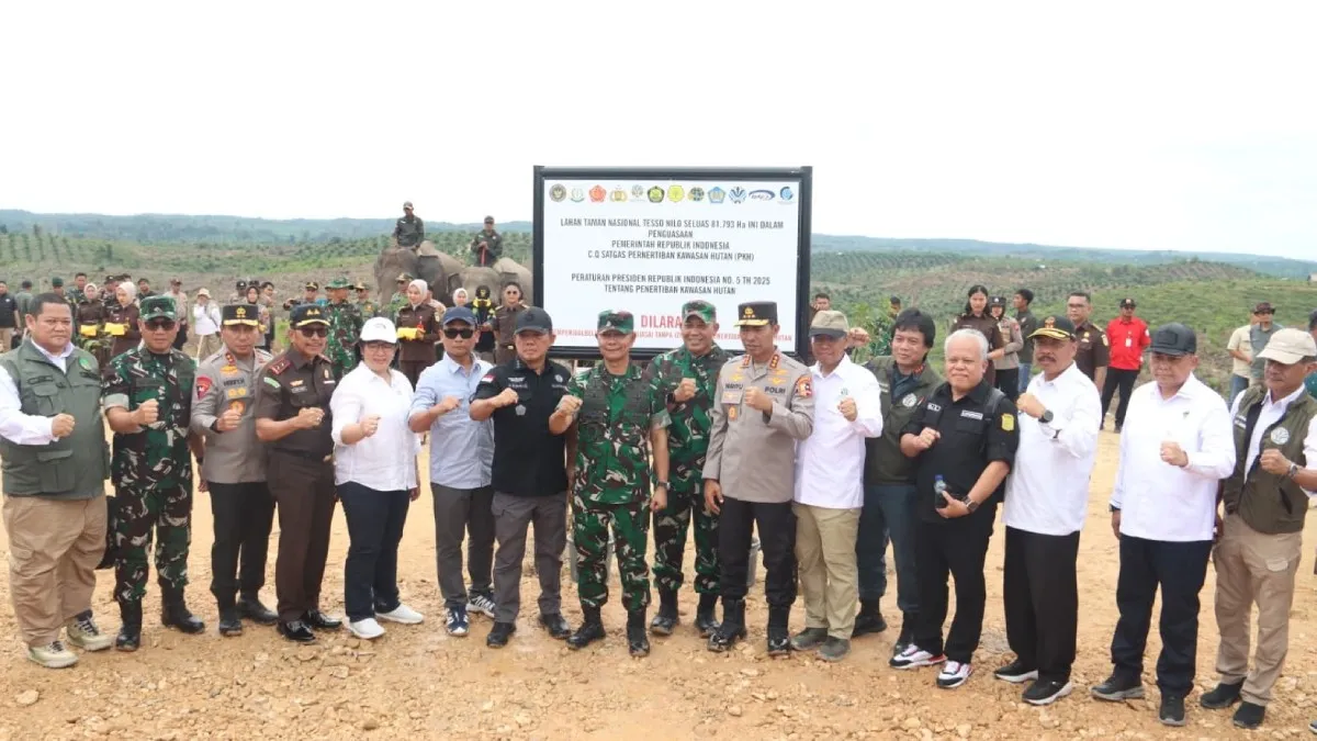 Satgas PKH kuasai kembali lahan 81.793 Ha di Kawasan Hutan Konservasi TN Tesso Nilo