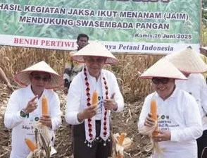 Kajati Lampung Danang Suryo Wibowo, S.H, LL.M, Bupati Tanggaramus Drs H Moh. Saleh Asnawi, M.A, M.Hdan bersama Kajari Tanggamus menghadiri acara panen raya program Jaksa Ikut Menanam (JAIM) di Gisting, Lampung