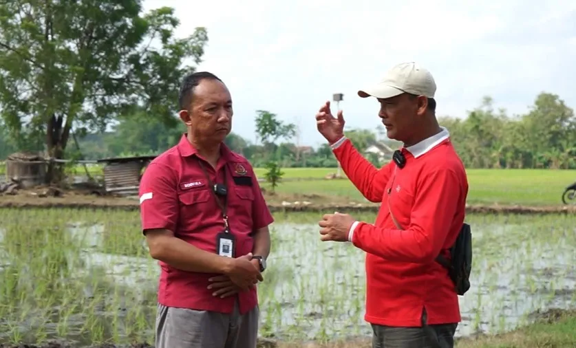 Wahono, salah satu petani yang menikmati hasil dari program Rubuha