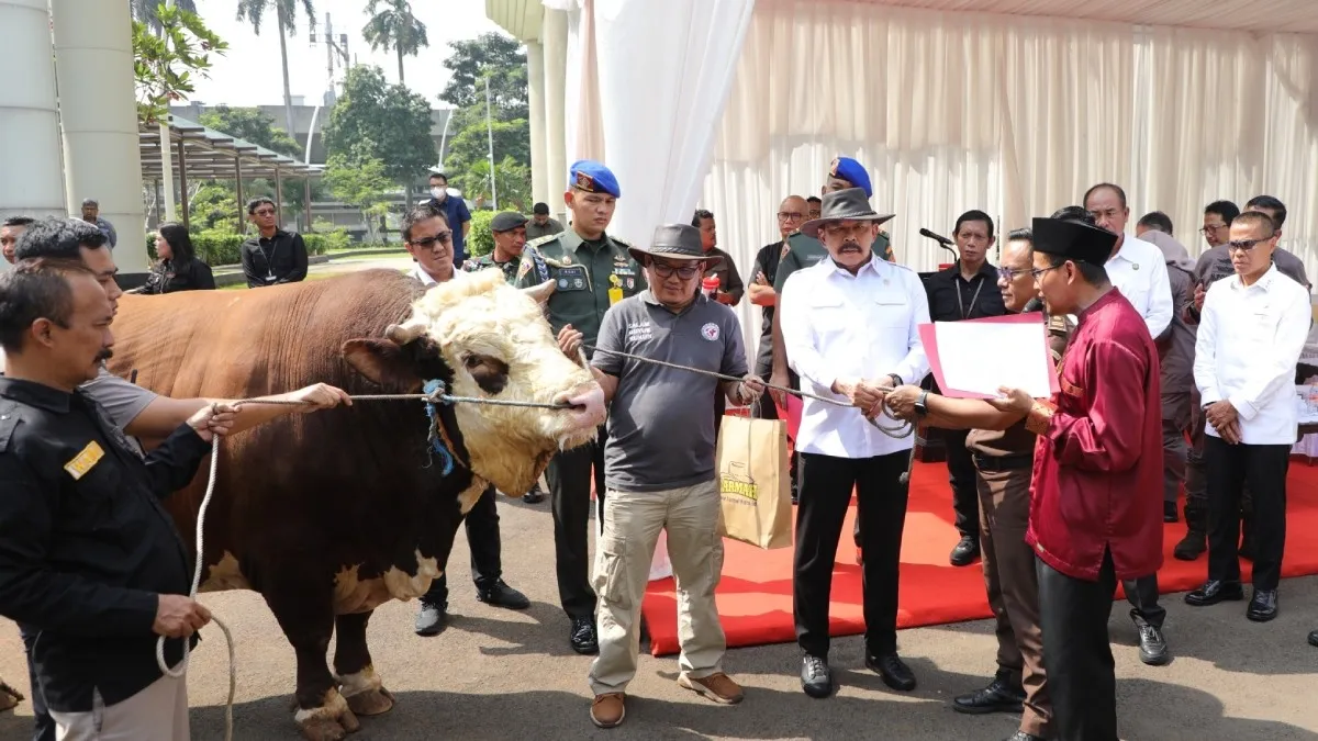 Jaksa Agung serahkan 47 ekor hewan kurban kepada panitia Idul Adha Lingkungan Kejagung, Jakarta, Kamis, 5 Juni 2025