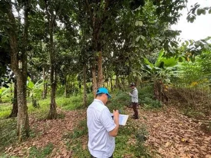 BPA Kejaksaan Lelang 59 Bidang Tanah Milik Terpidana Benny Tjokrosaputro di Bogor, Laku Terjual Rp 18,4 Miliar