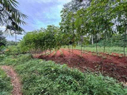 BPA Kejaksaan Lelang 59 Bidang Tanah Milik Terpidana Benny Tjokrosaputro di Bogor, Laku Terjual Rp 18,4 Miliar